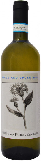 2023 Tebbiano Spoletino Spoleto DOC trocken - Terre di San Felice