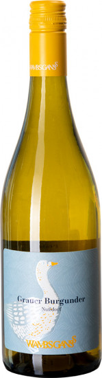 2025 Grauer Burgunder trocken - Weingut Eugen Wambsganß