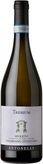2022 Trebium Trebbiano Spoleto DOC trocken Bio - Antonelli San Marco