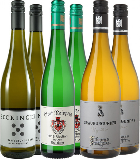 Falstaff Favoriten Paket