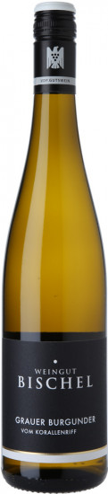 2024 Grauburgunder vom Korallenriff VDP.Gutswein trocken Bio - Weingut Bischel
