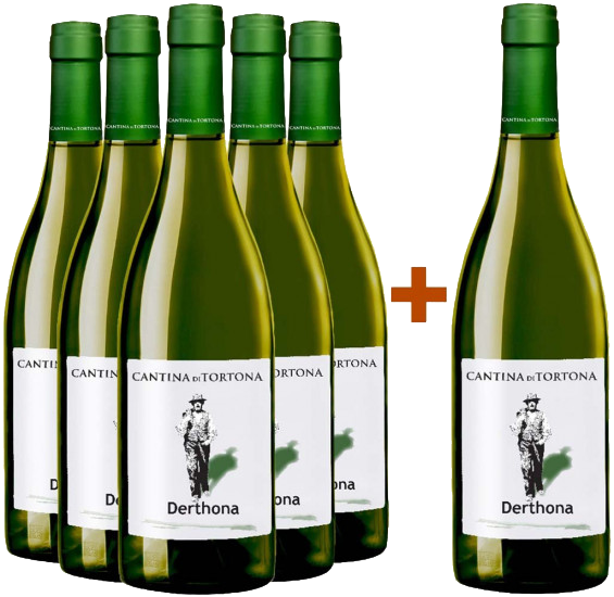 5+1 Paket Delre Colli Tortonesi DOC - Cantina di Tortona