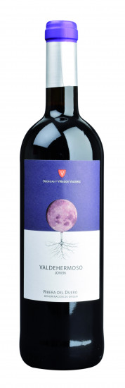 2020 Valdehermoso Joven Ribera del Duero DO trocken Bio - Bodegas Valderiz
