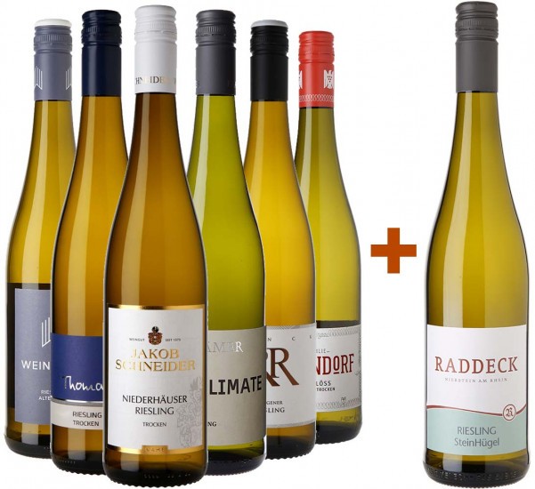 Riesling-Paket + Gratisflasche Steinhügel Riesling