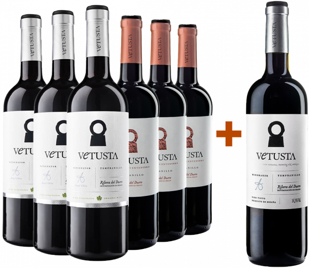 Aktionspaket Ventusta Fuentebro und Crianza + Magnum gratis - Bodegas Vetusta