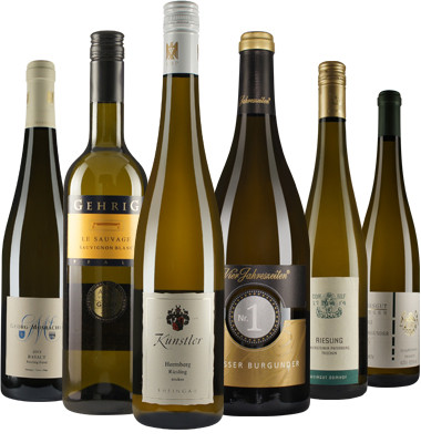 WirWinzer-Favoriten: Premium-Paket Weißwein - DETAIL Spezial