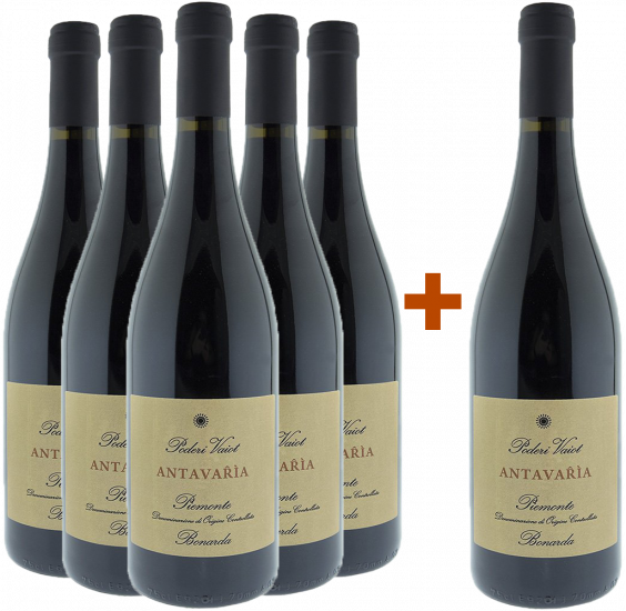 5+1 Bonarda Antavařìa Piemonte DOC - Poderi Vaiot