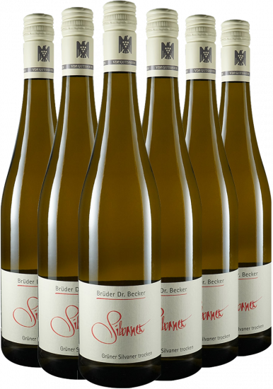 6er Spargel-Paket Grüner Silvaner Bio - Weingut Brüder Dr. Becker