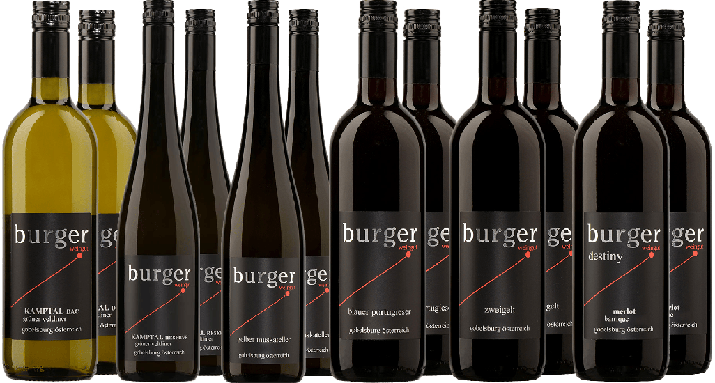 Burger Großes Kennenlern-Paket - Weingut & Rebschule Burger