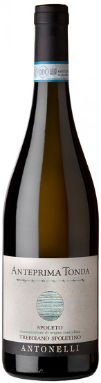 2021 Vigna Tonda Trebbiano Spoleto DOC trocken Bio - Antonelli San Marco