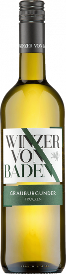 2024 Grauburgunder Baden trocken - Winzer von Baden