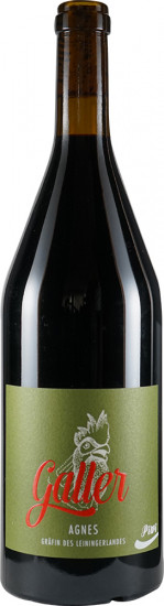 2017 AGNES - Pinotin Rotwein trocken Bio - Weingut Galler