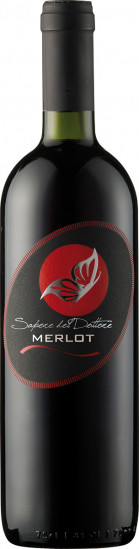 2022 Merlot Delle Venezie IGP - Gino Brisotto