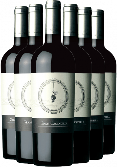 Pack Descuento Gran Calzadilla 2012 Pago Calzadilla VP BIO Bio - Pago Calzadilla