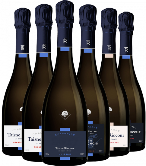 Champagne Taisne Riocour Kennenlernen-Paket - Maison Taisne Riocour