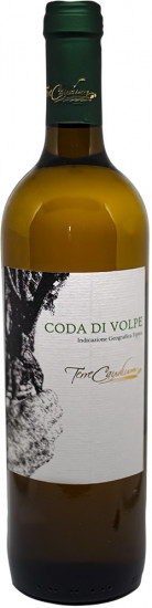 2021 Beneventano Coda di Volpe trocken - Terre Caudium