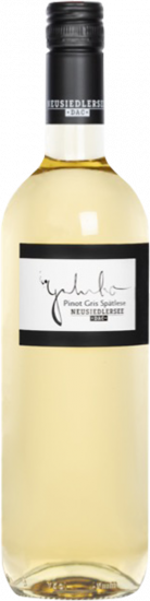 2022 Pinot Gris Spätlese süß - Weingut Galumbo