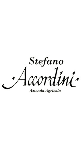 2023 Paxxo Cuvée Veneto IGP trocken - Stefano Accordini