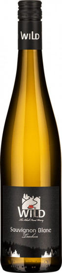 2022 Sauvignon Blanc trocken - Weingut Wild