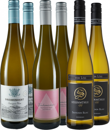 Sauvignon Blanc Premium-Paket - WirWinzer Select