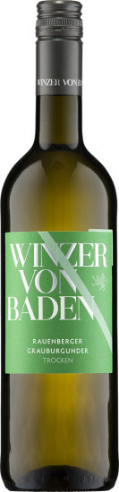 2024 Rauenberger Grauburgunder Kabinett trocken - Winzer von Baden