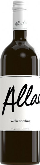 2025 Welschriesling trocken - Allacher Vinum Pannonia