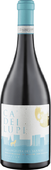 2022 Falanghina del Sannio DOC trocken - Ca' dei Lupi