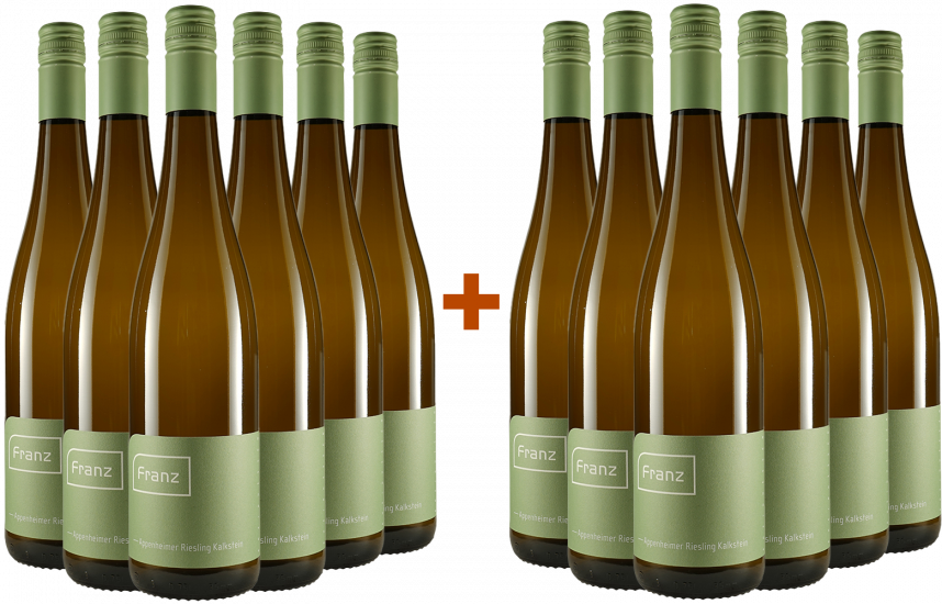 6 +6 Paket - 2022 Nieder-Hilbersheimer Riesling vom Rotenstein trocken - Weingut Franz