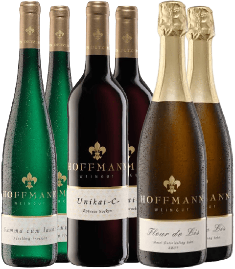 Prämiertes Weinprobierpaket - Weingut Hoffmann