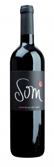 2019 Som Negre trocken Bio - Galmes i Ribot