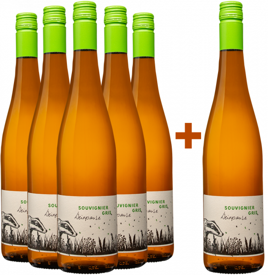 5+1 Paket Souvignier Gris trocken - Weingut Weinpause