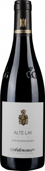 2023 Ahrweiler FORSTBERG VDP.Erste Lage trocken - Weingut Adeneuer