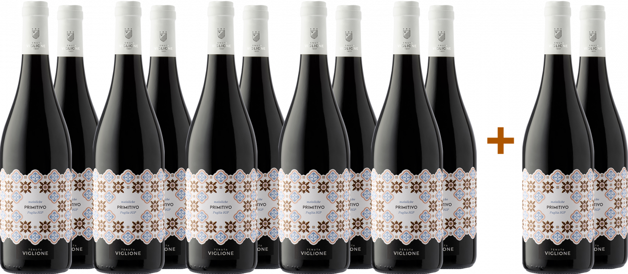 10+2 Paket Maioliche Primitivo Puglia IGP Bio - Tenuta Viglione
