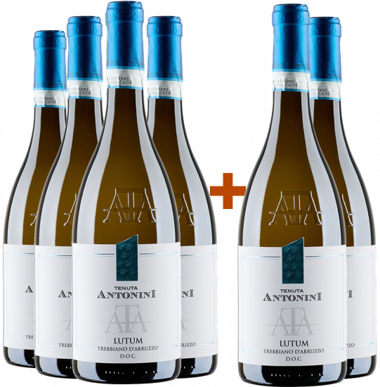 4+2 Paket Lutum Trebbiano d'Abruzzo DOC - Tenuta Antonini Alessio