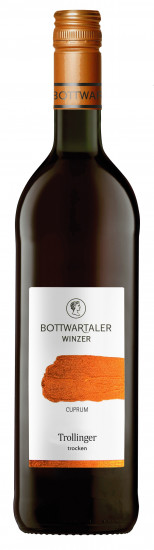 2022 Großbottwarer Harzberg Trollinger Kupfer trocken - Bottwartaler Winzer
