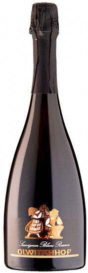 2019 Sauvignon Blanc g.U. trocken - Riegelnegg Olwitschhof