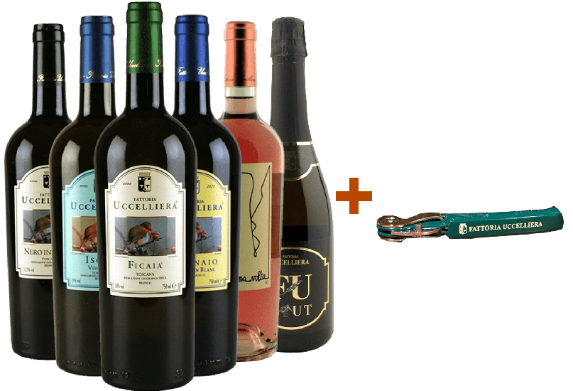 Fattoria Uccelliera Weißweine-Kennenlern-Paket - Fattoria Uccelliera