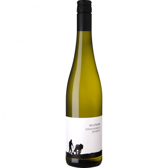 2024 Chardonnay vom Quarzit trocken BIO - Weingut Pflüger 