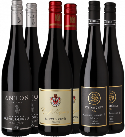 Festlich. Frisch. Rot. 