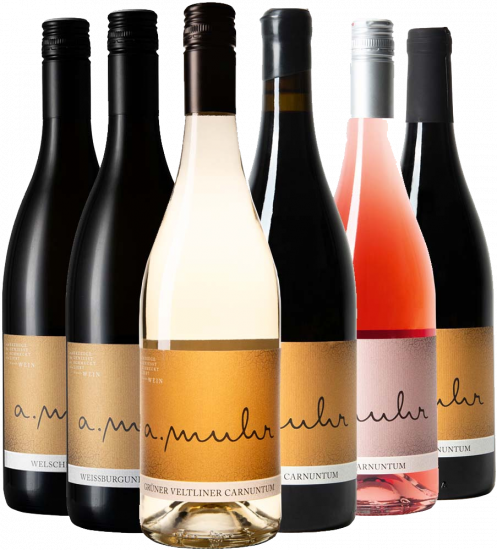 Andreas Muhr Kennenlern-Paket - Weingut Andreas Muhr
