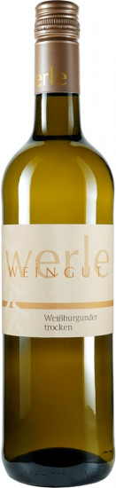 2023 Weissburgunder trocken - Weingut Werle