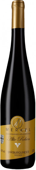 2023 Gundersheimer Höllenbrand Spätburgunder Alte Reben trocken - Weingut Burgunderhof Merkel