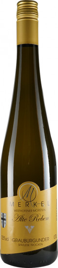 2023 Westhofener Morstein Grauburgunder Alte Reben trocken - Weingut Burgunderhof Merkel