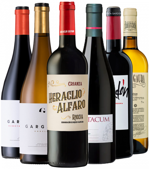 Kennenlernpaket Spanische Spitzenweine - Terras Gauda