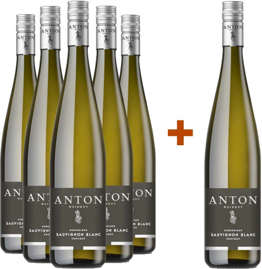 Anton 5+1 Sauvignon Blanc Paket - Weingut Anton
