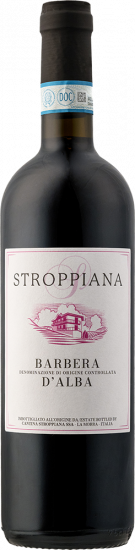 Barbera d'Alba DOC trocken - Cantina Stroppiana