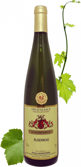 2024 Auxerrois Alsace AOP - Domaine Hassenforder