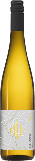 2025 Riesling Kabinett trocken Bio - Weingut Forsthof