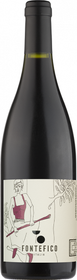 2017 Costetoste Aglianico Terre di Chieti IGP trocken Bio - Fontefico