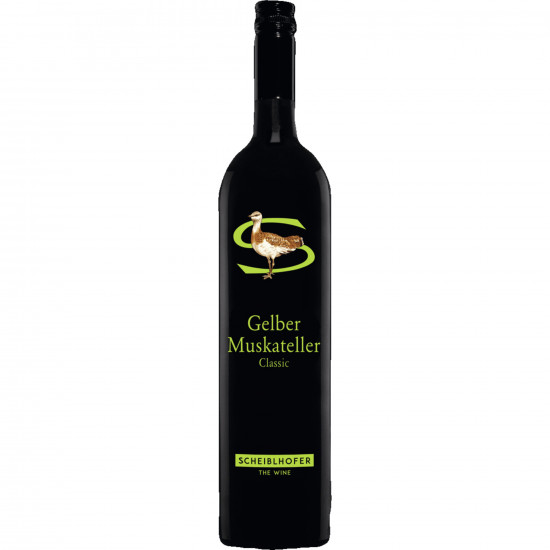 2025 Scheiblhofer Classic Gelber Muskateller trocken - Scheiblhofer THE WINE GmbH